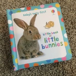 📚 Baby’s Very First Little Book of Little Bunnies